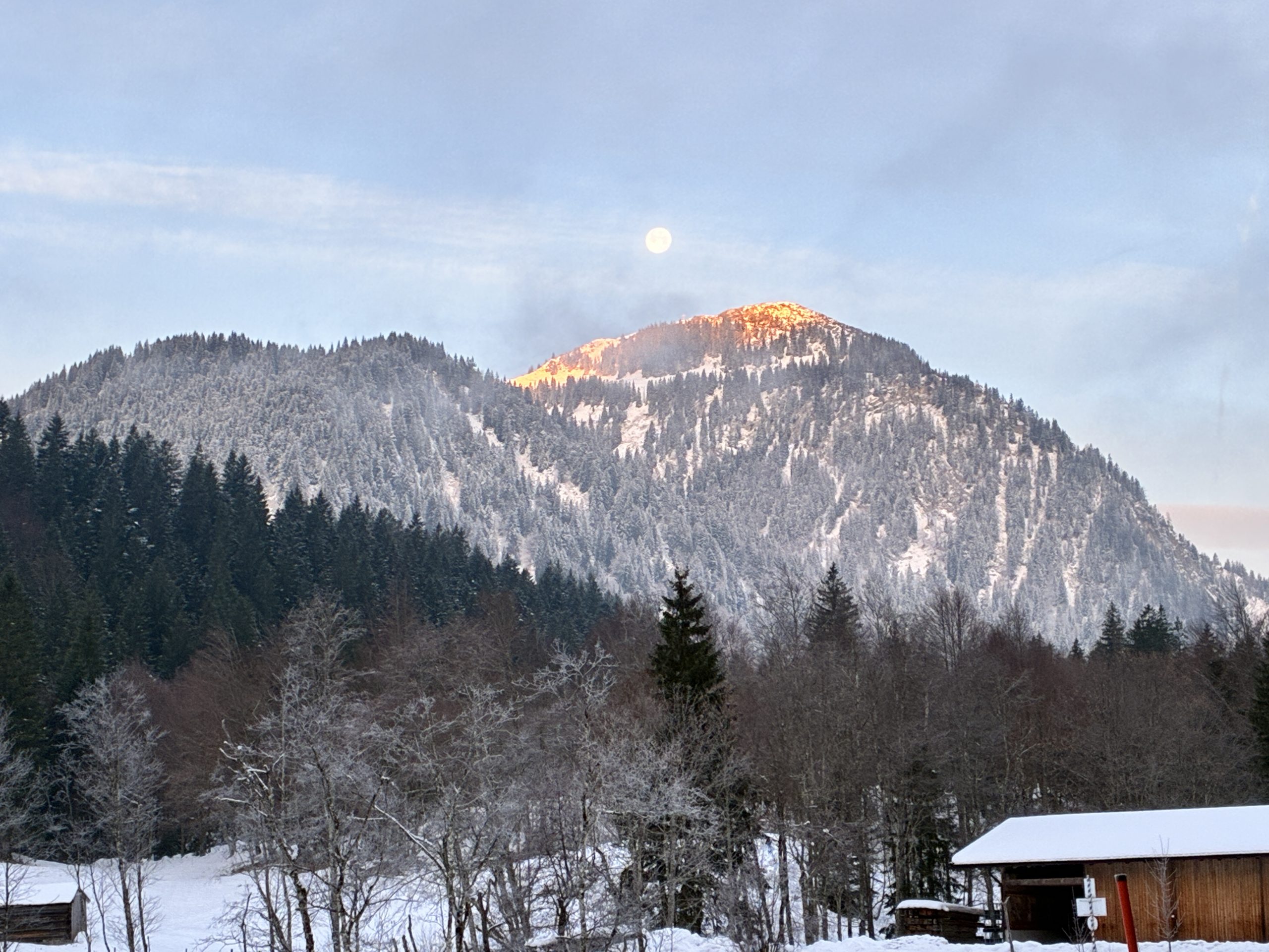 Zukunftsvision statt Neujahrsvorsätze