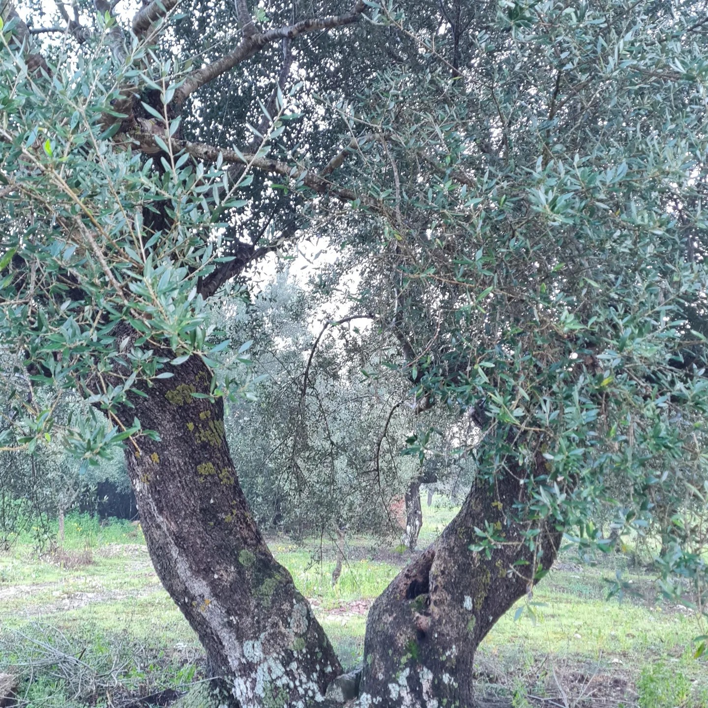 Persönlichkeitsentwicklung Körper Gefühle